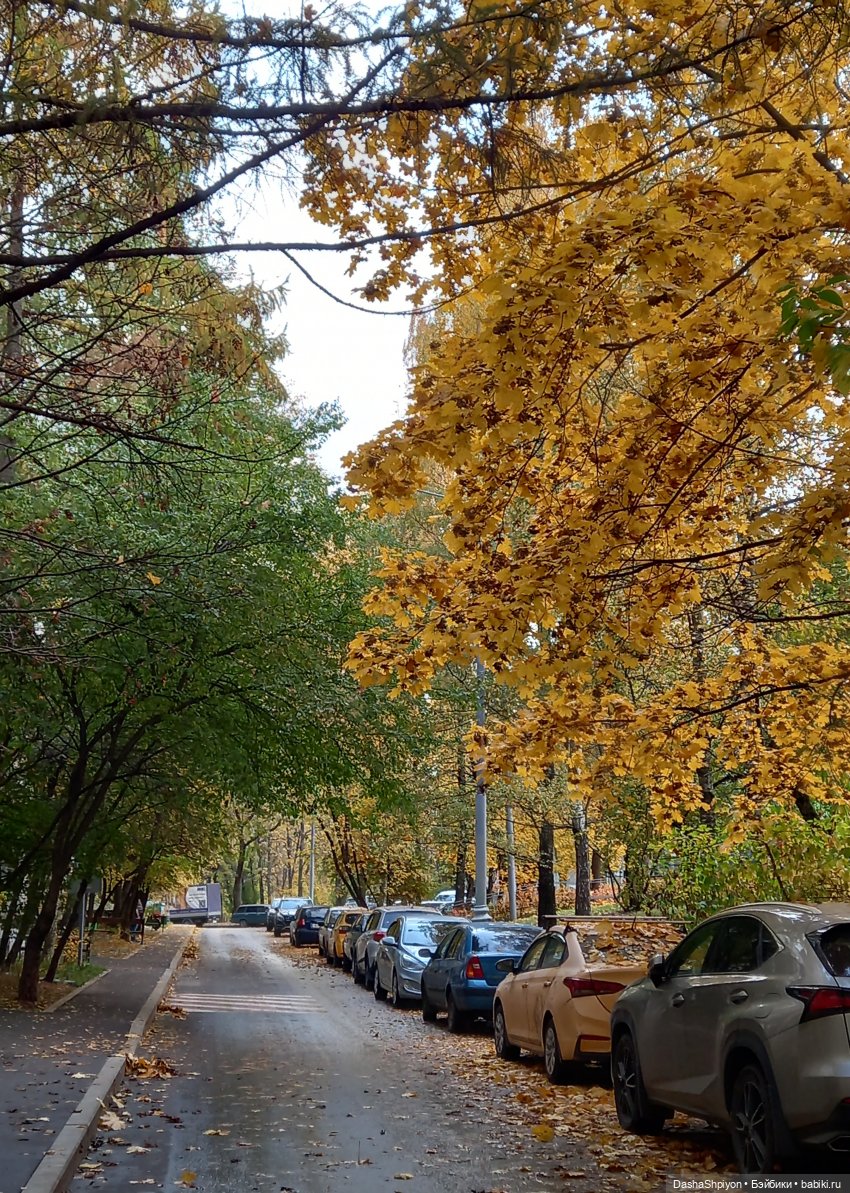 🍂Граница осени и лета 🍁🌿 — Гибриды шарнирных кукол (не БЖД): подбор тела