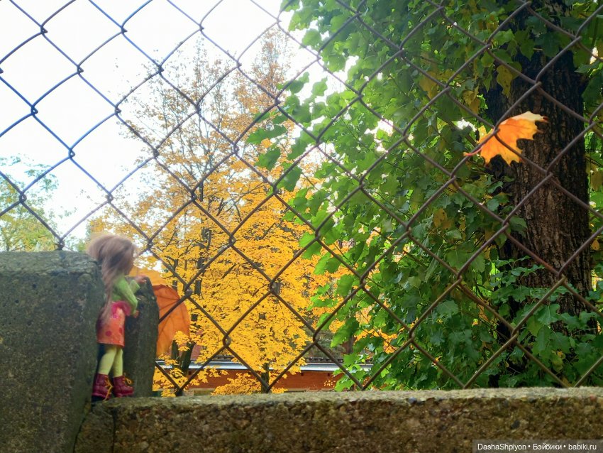 🍂Граница осени и лета 🍁🌿 — Гибриды шарнирных кукол (не БЖД): подбор тела