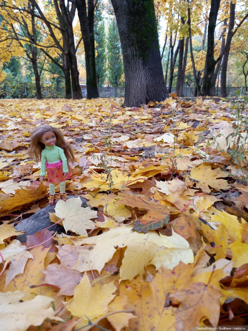 🍂Граница осени и лета 🍁🌿 — Гибриды шарнирных кукол (не БЖД): подбор тела