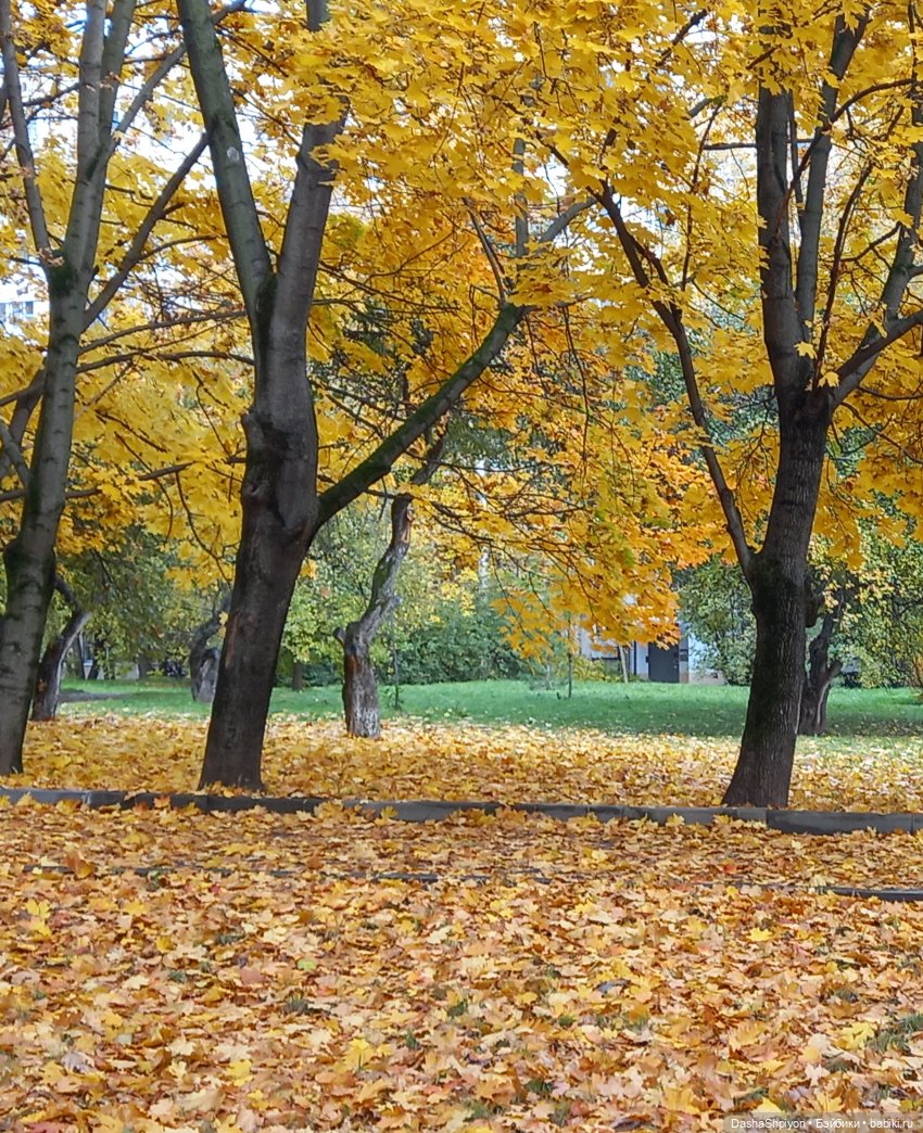 🍂Граница осени и лета 🍁🌿 — Гибриды шарнирных кукол (не БЖД): подбор тела (фото 7)