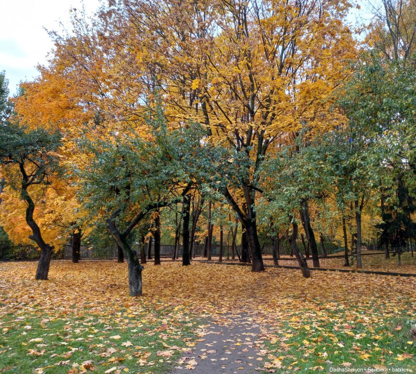 🍂Граница осени и лета 🍁🌿 — Гибриды шарнирных кукол (не БЖД): подбор тела (фото 5)