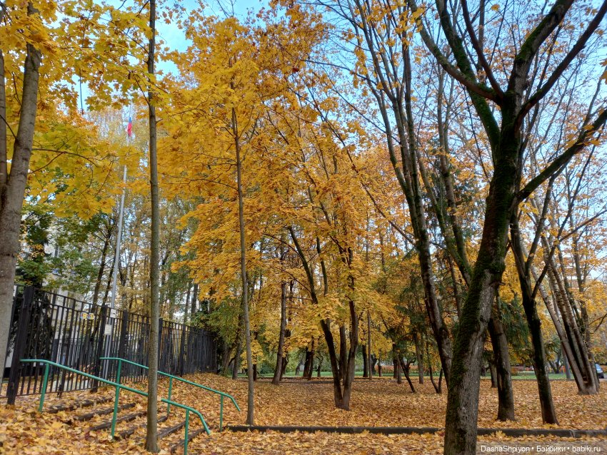 🍂Граница осени и лета 🍁🌿 — Гибриды шарнирных кукол (не БЖД): подбор тела