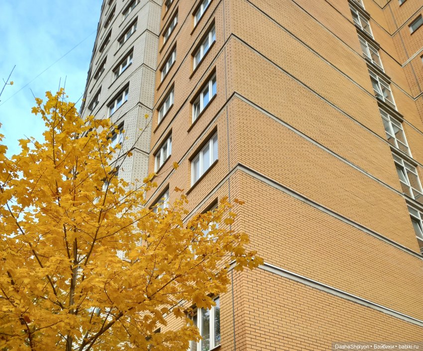 🍂Граница осени и лета 🍁🌿 — Гибриды шарнирных кукол (не БЖД): подбор тела