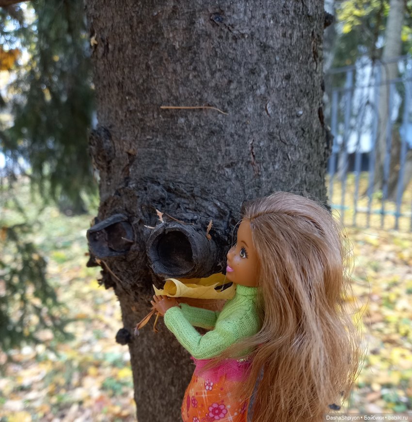 🍂Граница осени и лета 🍁🌿 — Гибриды шарнирных кукол (не БЖД): подбор тела