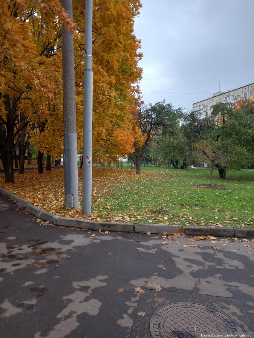 🍂Граница осени и лета 🍁🌿 — Гибриды шарнирных кукол (не БЖД): подбор тела (фото 6)