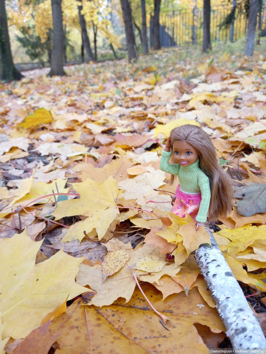 🍂Граница осени и лета 🍁🌿 — Гибриды шарнирных кукол (не БЖД): подбор тела