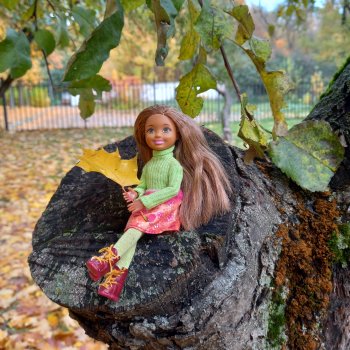 🍂Граница осени и лета 🍁🌿