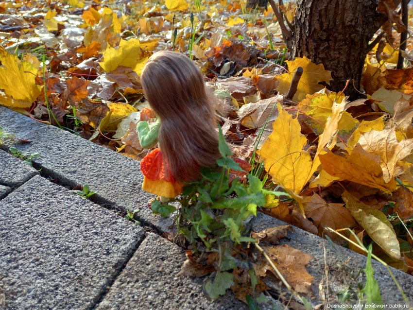 💛 Солнце светит через жёлтую листву 🍂☀️