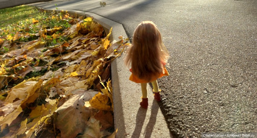 💛 Солнце светит через жёлтую листву 🍂☀️