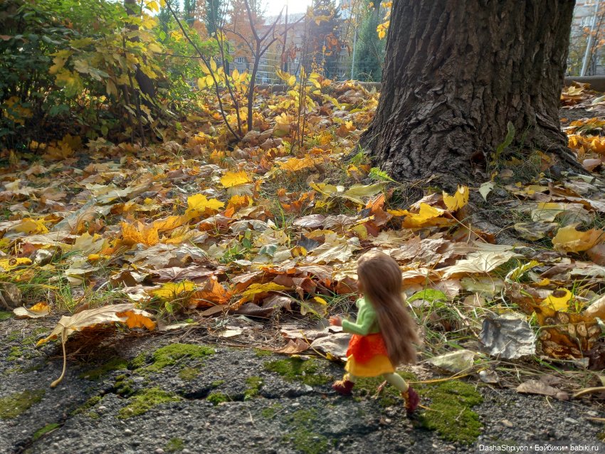 💛 Солнце светит через жёлтую листву 🍂☀️ (фото 5)