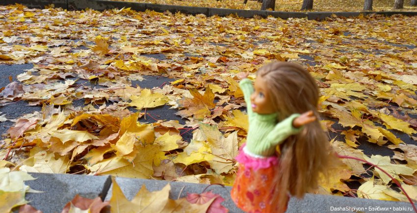 💛 Солнце светит через жёлтую листву 🍂☀️