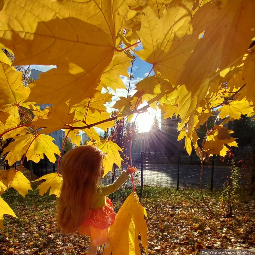 💛 Солнце светит через жёлтую листву 🍂☀️ (фото 4)