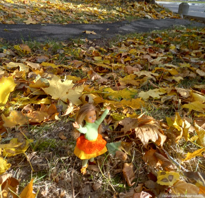 💛 Солнце светит через жёлтую листву 🍂☀️