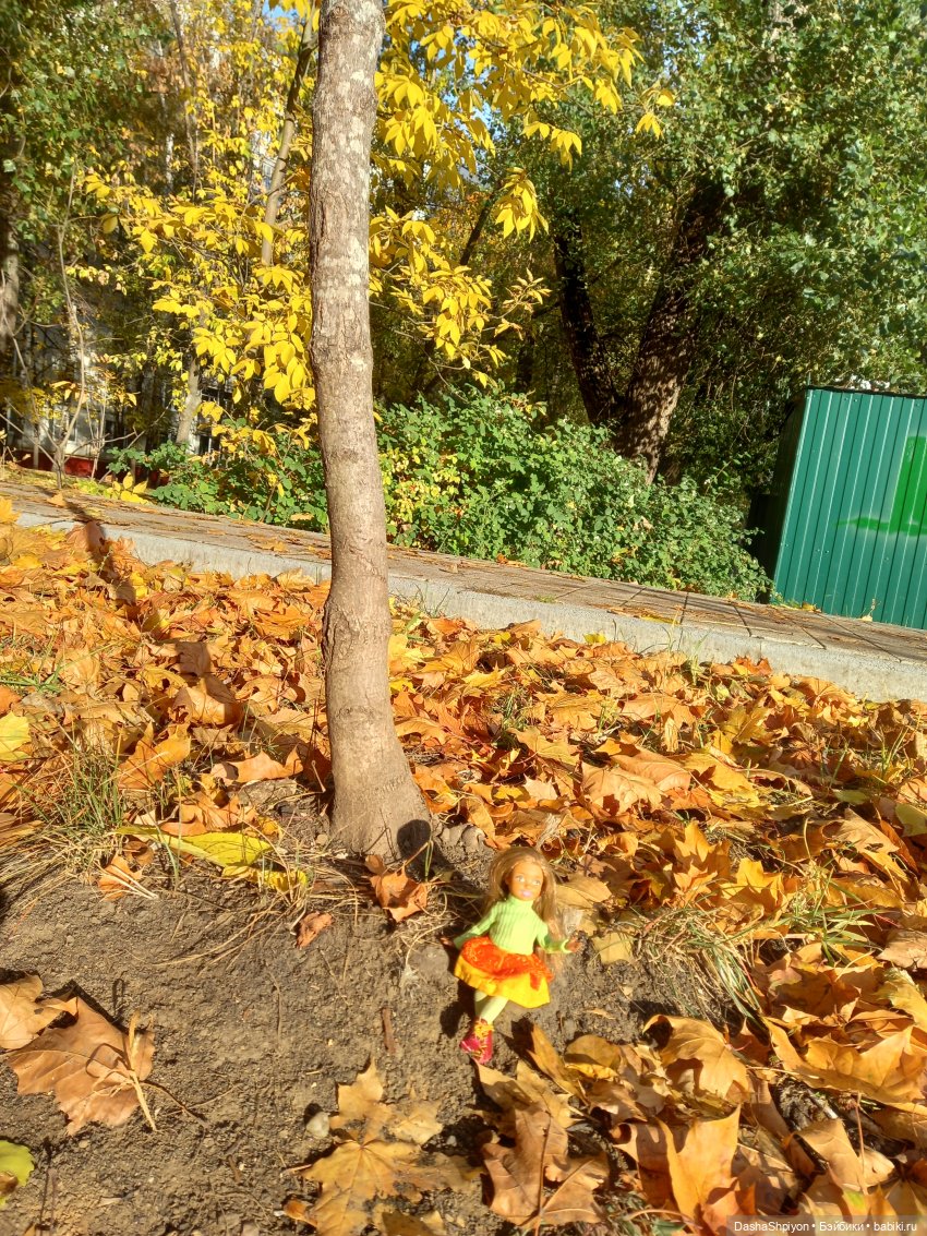 💛 Солнце светит через жёлтую листву 🍂☀️