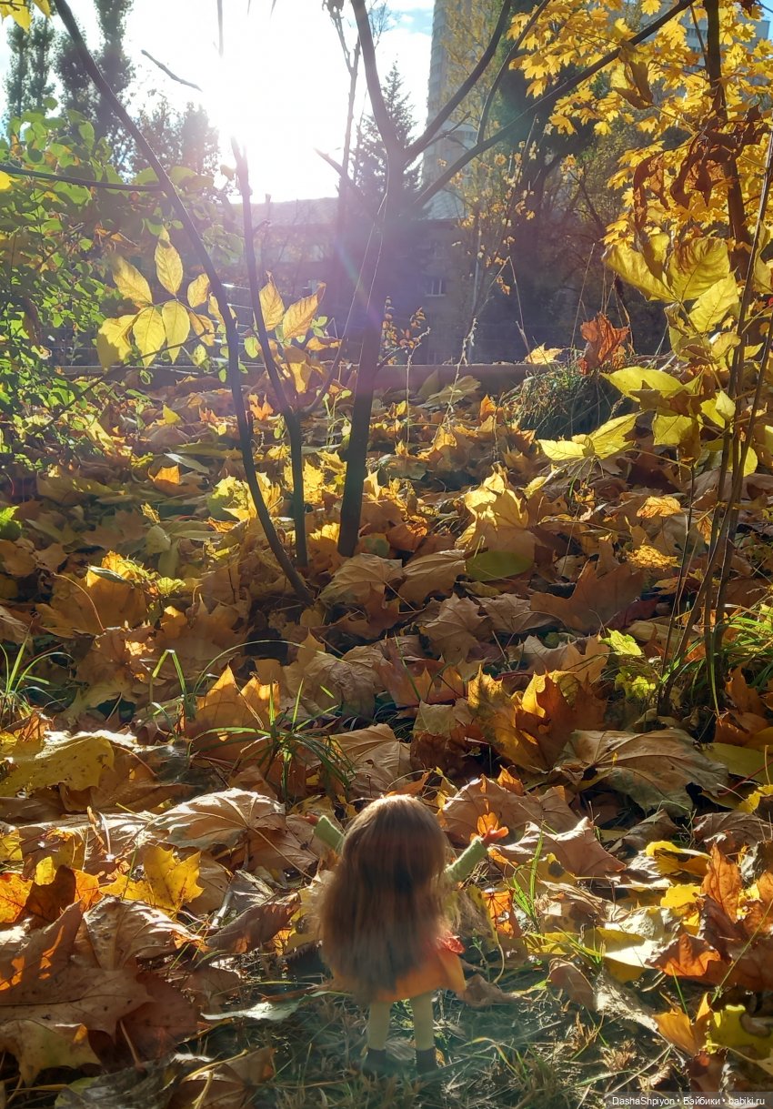 💛 Солнце светит через жёлтую листву 🍂☀️ (фото 6)