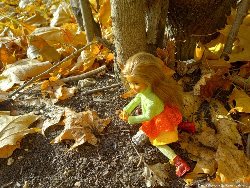 💛 Солнце светит через жёлтую листву 🍂☀️