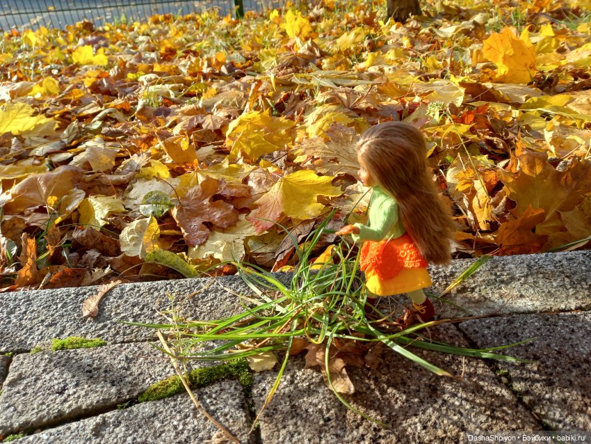 💛 Солнце светит через жёлтую листву 🍂☀️ (фото 7)