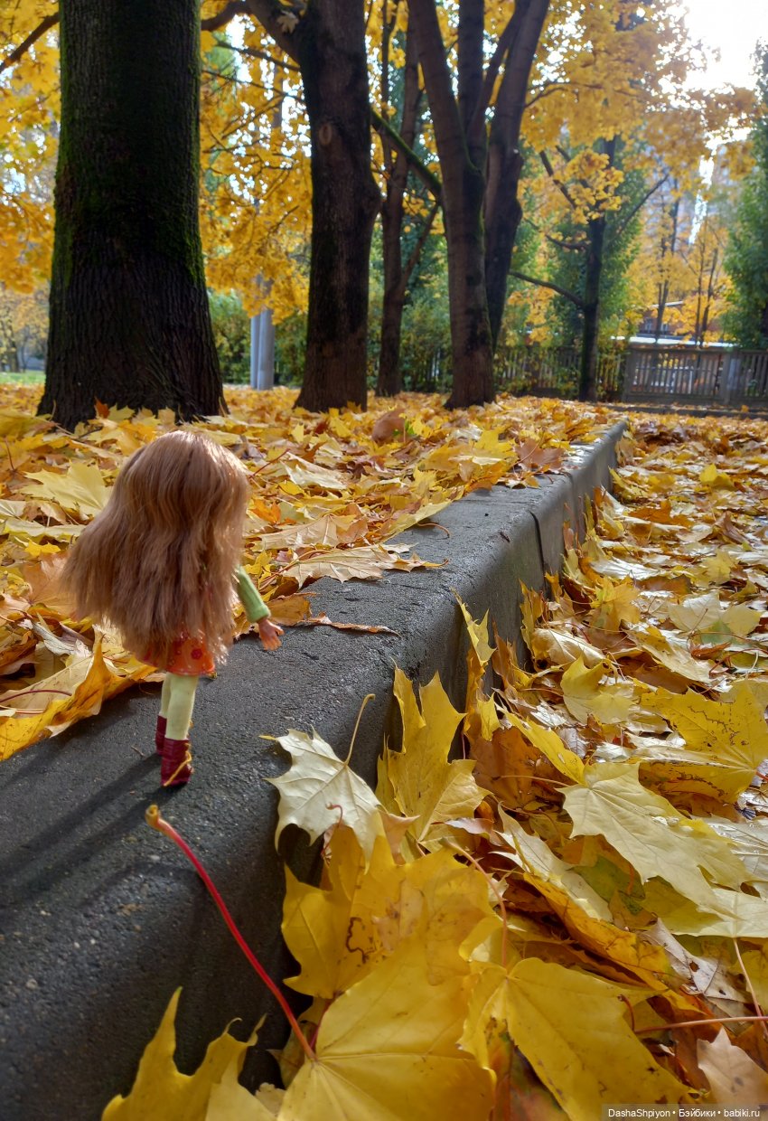💛 Солнце светит через жёлтую листву 🍂☀️