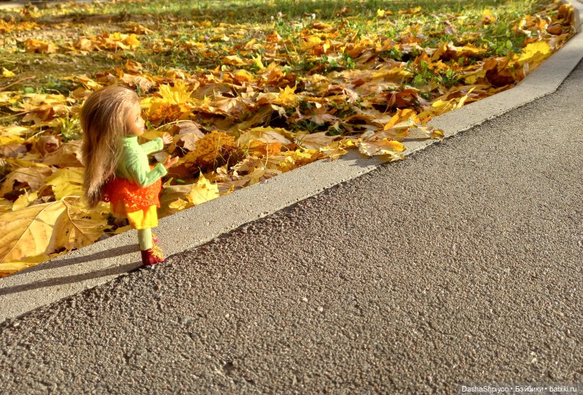 💛 Солнце светит через жёлтую листву 🍂☀️