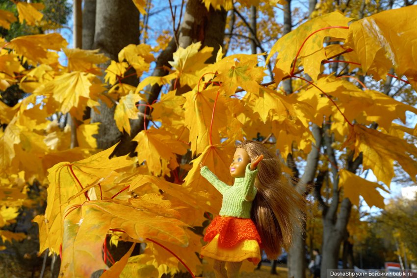 💛 Солнце светит через жёлтую листву 🍂☀️