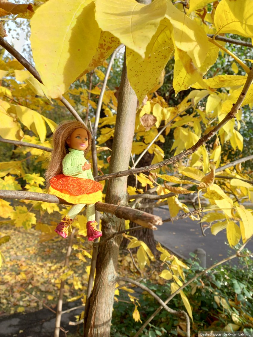 💛 Солнце светит через жёлтую листву 🍂☀️