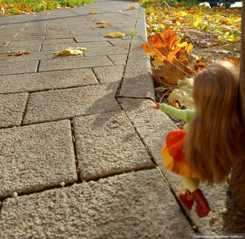 💛 Солнце светит через жёлтую листву 🍂☀️