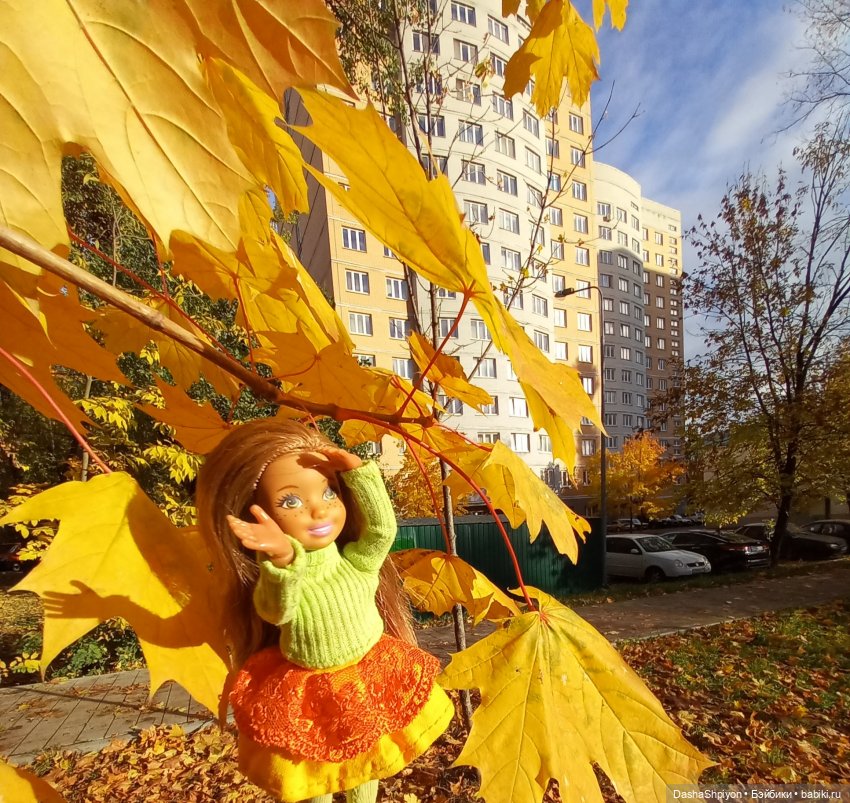 💛 Солнце светит через жёлтую листву 🍂☀️