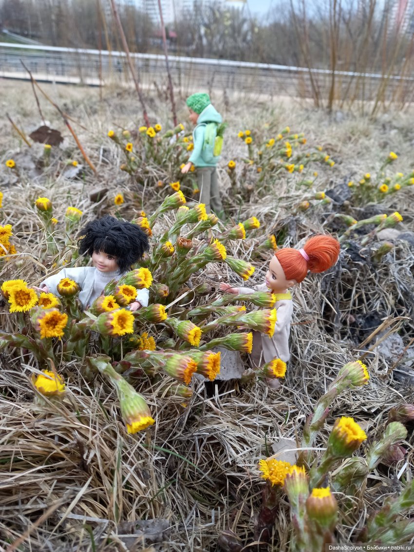 🌱Апрельская прогулка возле ёлочек🌲🌼