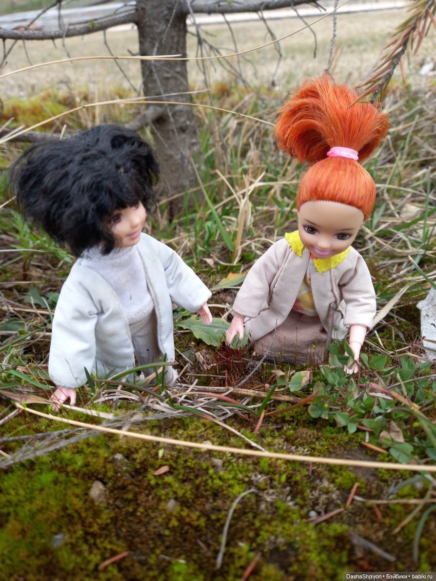 🌱Апрельская прогулка возле ёлочек🌲🌼 (фото 8)