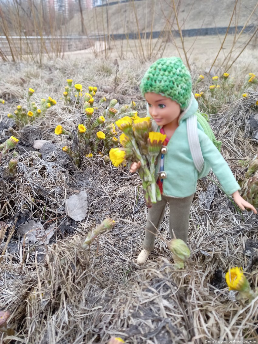 🌱Апрельская прогулка возле ёлочек🌲🌼
