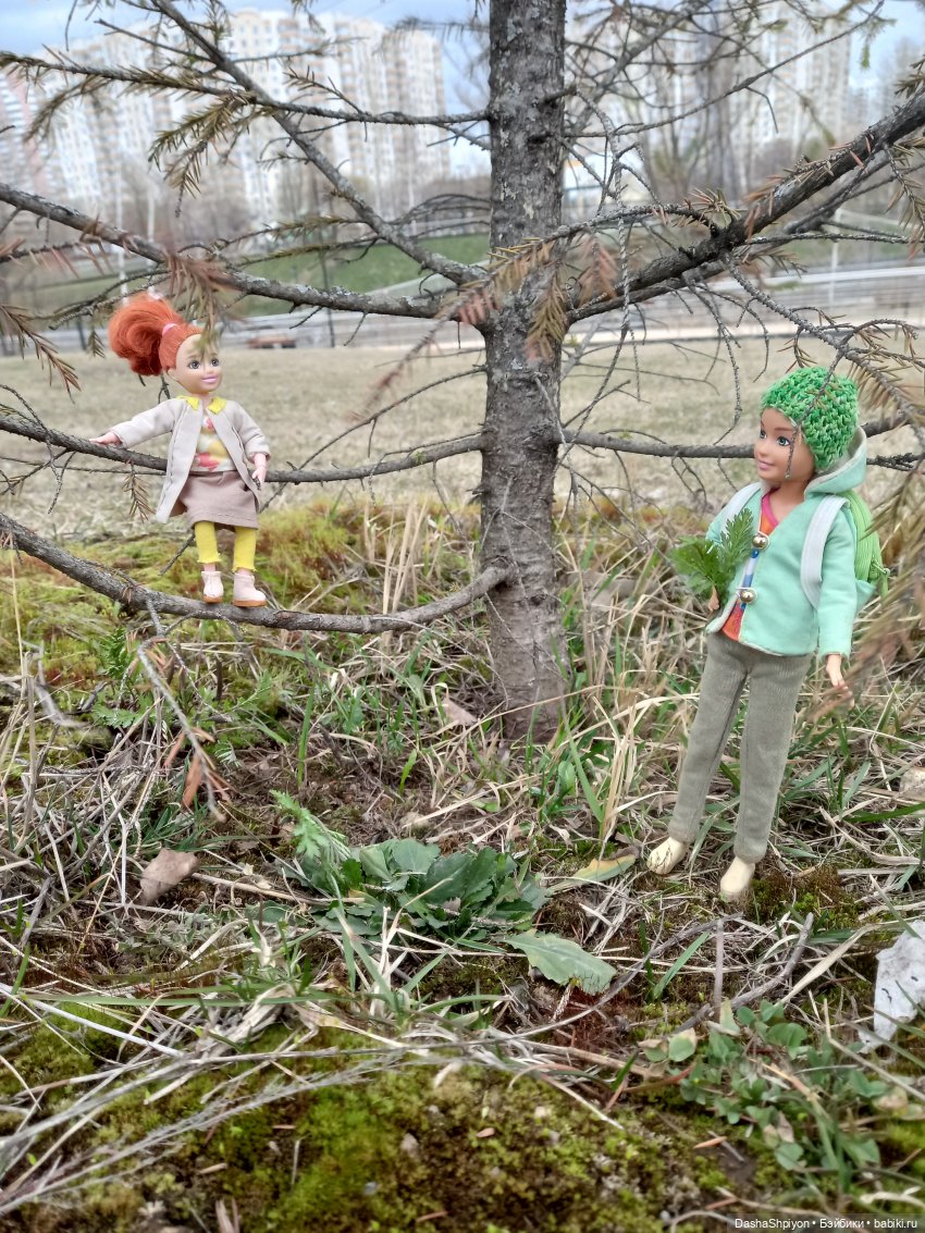 🌱Апрельская прогулка возле ёлочек🌲🌼
