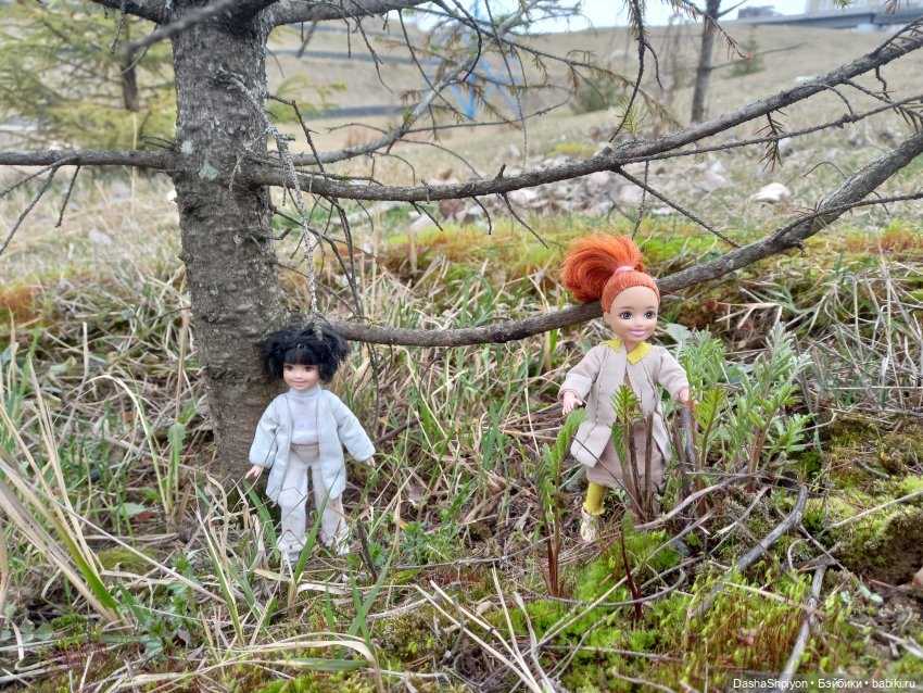 🌱Апрельская прогулка возле ёлочек🌲🌼