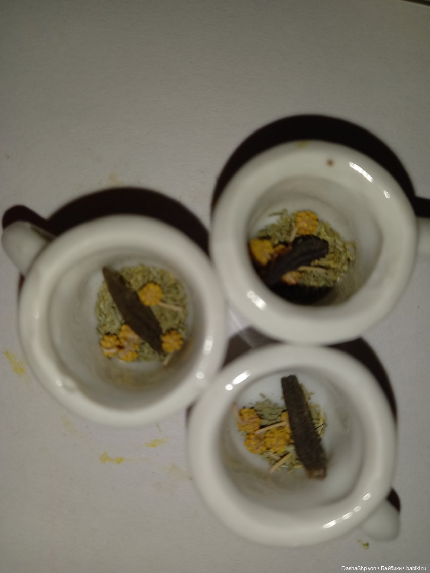 🌱Апрельская прогулка возле ёлочек🌲🌼