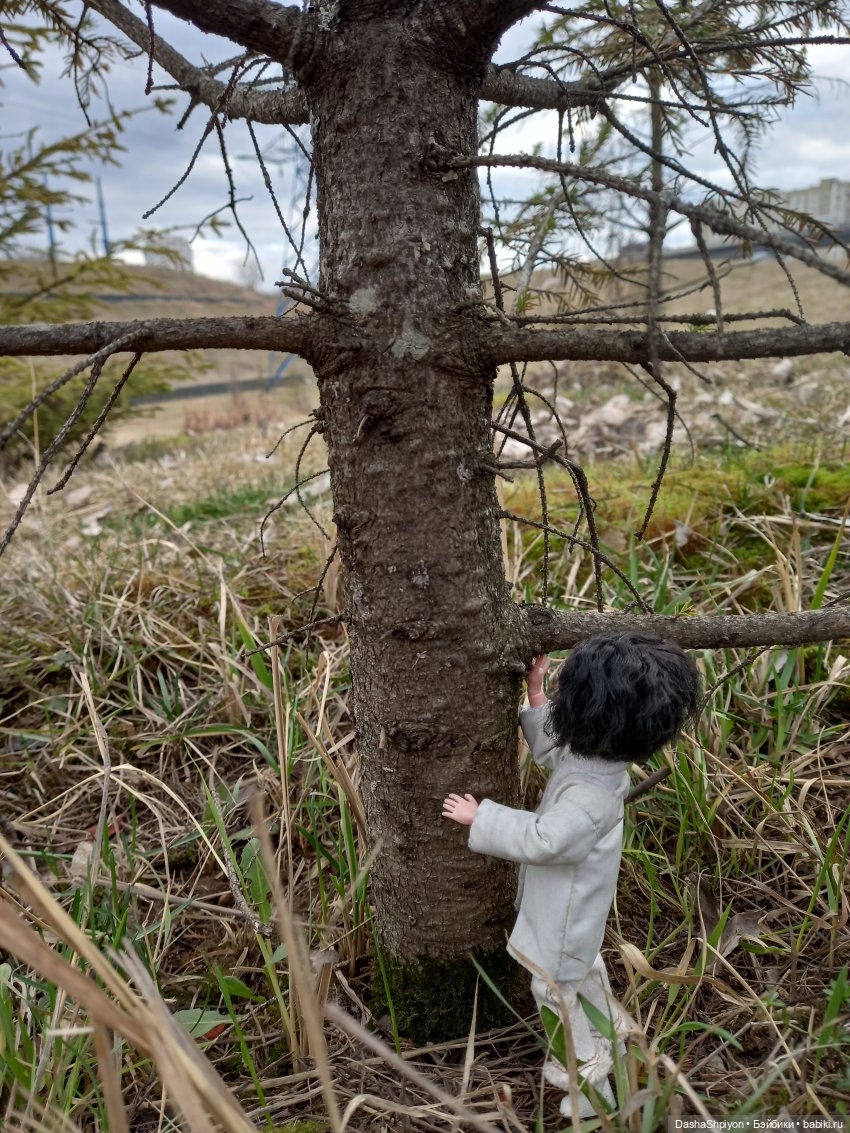 🌱Апрельская прогулка возле ёлочек🌲🌼