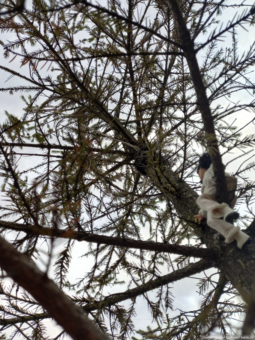🌱Апрельская прогулка возле ёлочек🌲🌼