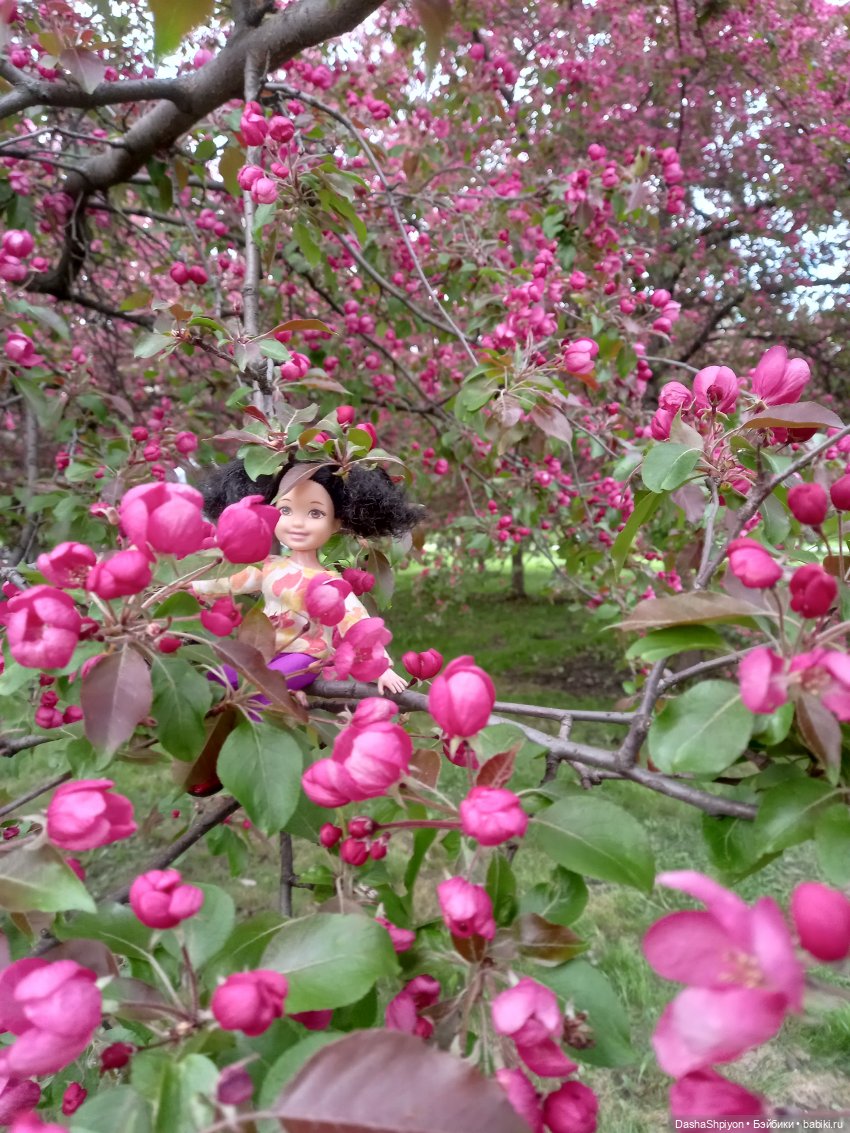 🏵️ Ариша и лето 🌿🌺 — Гибриды шарнирных кукол (не БЖД): подбор тела (фото 6)