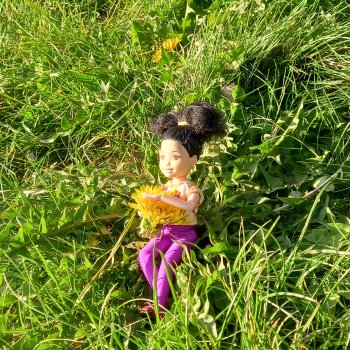 🏵️ Ариша и лето 🌿🌺