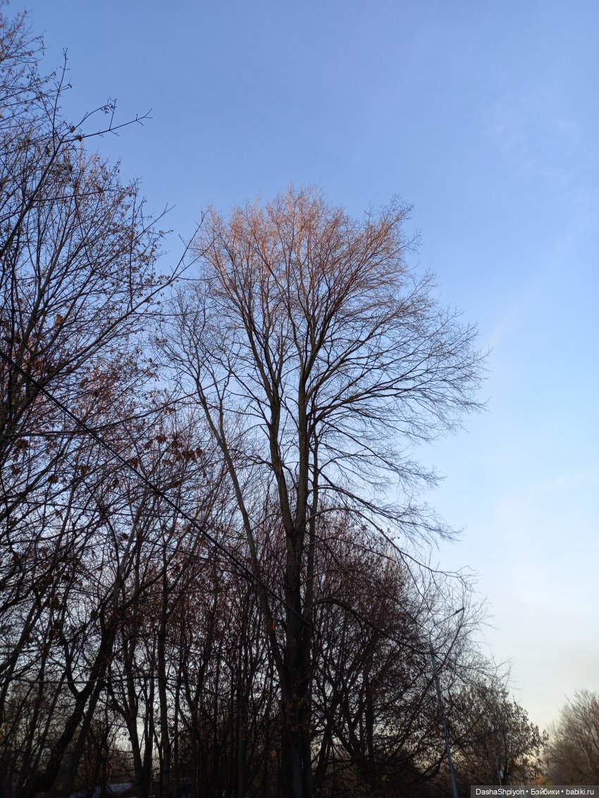 🌅 Закат в Коломенском 💖🍃 — Гибриды шарнирных кукол (не БЖД): подбор тела (фото 9)