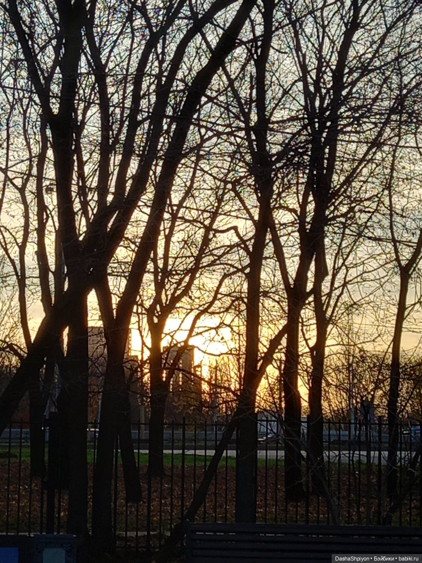 🌅 Закат в Коломенском 💖🍃 — Гибриды шарнирных кукол (не БЖД): подбор тела (фото 3)