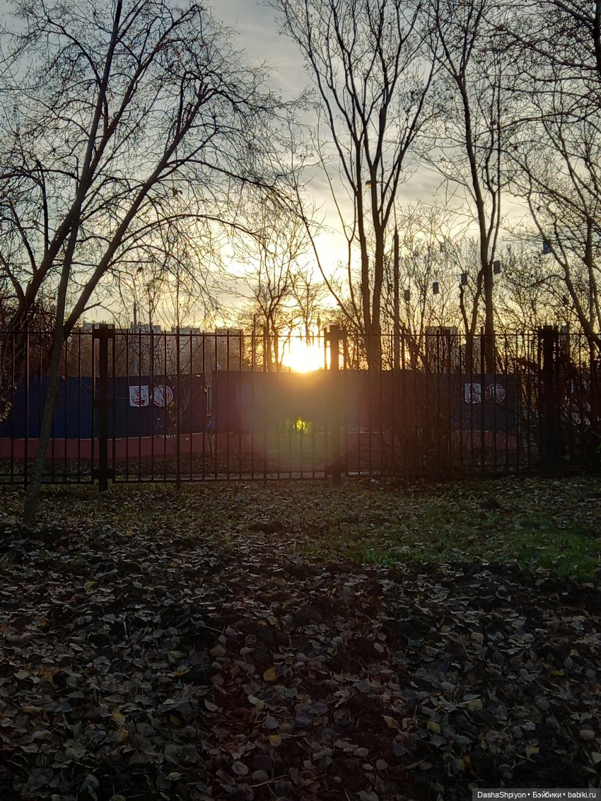 🌅 Закат в Коломенском 💖🍃 — Гибриды шарнирных кукол (не БЖД): подбор тела (фото 2)