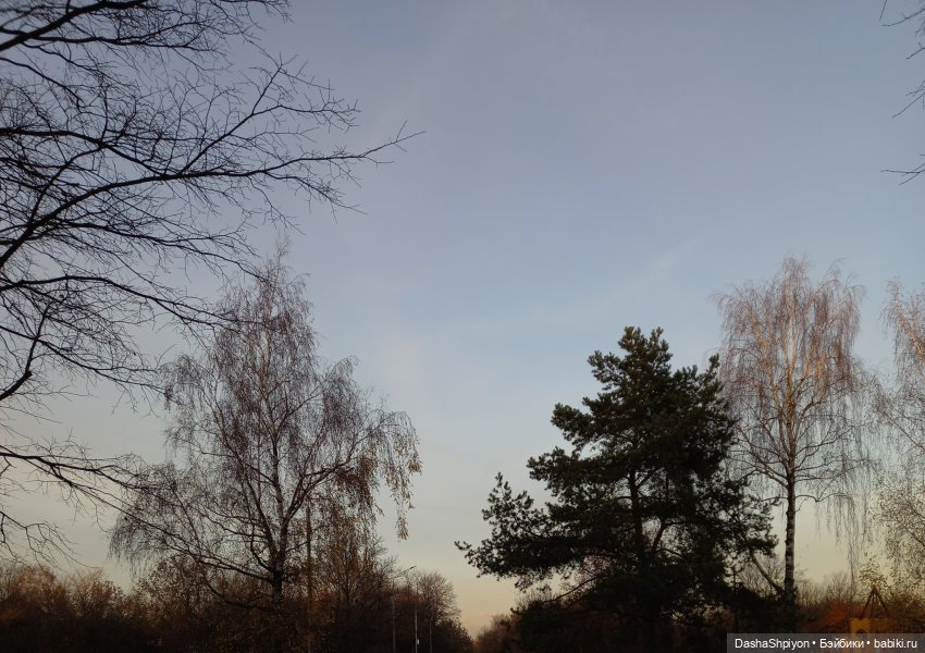 🌅 Закат в Коломенском 💖🍃 — Гибриды шарнирных кукол (не БЖД): подбор тела (фото 4)