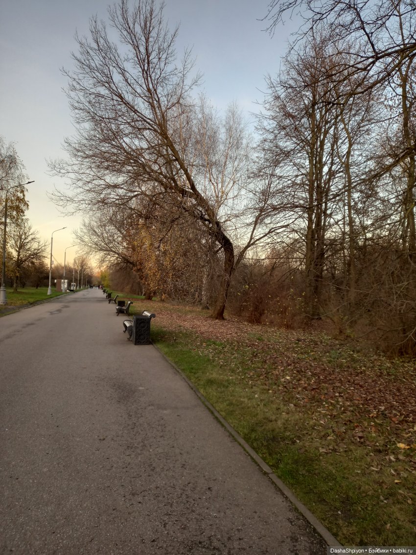 🌅 Закат в Коломенском 💖🍃 — Гибриды шарнирных кукол (не БЖД): подбор тела