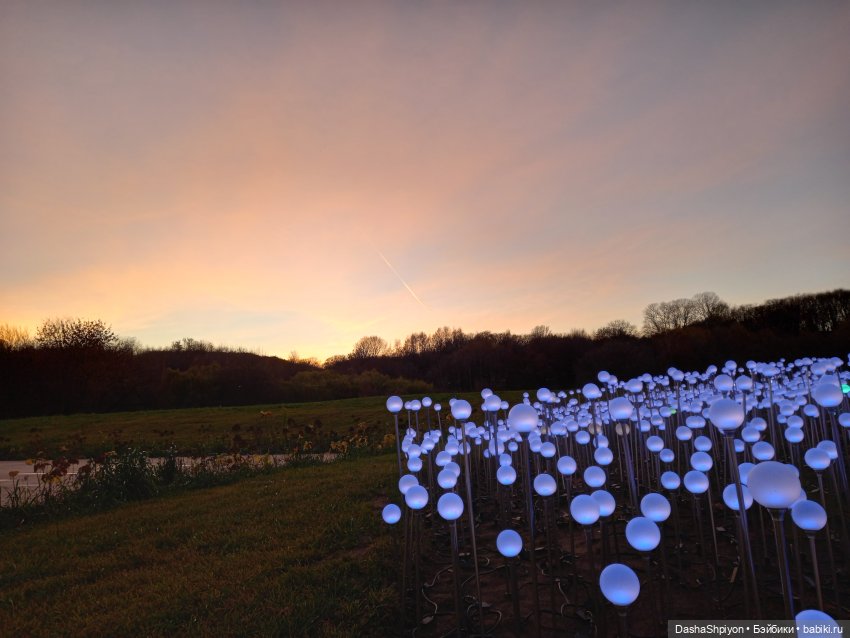 🌅 Закат в Коломенском 💖🍃 — Гибриды шарнирных кукол (не БЖД): подбор тела