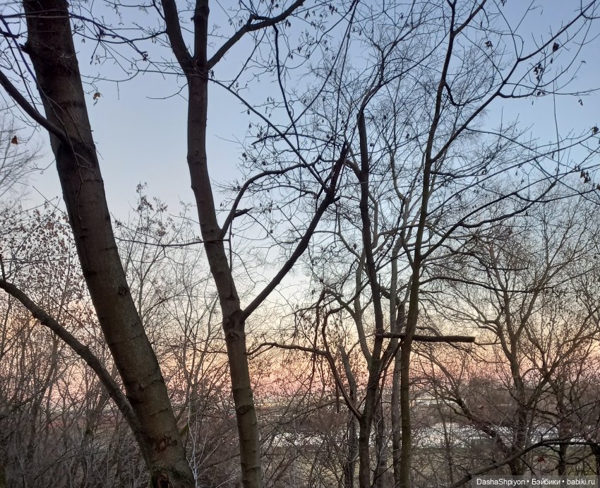 🌅 Закат в Коломенском 💖🍃 — Гибриды шарнирных кукол (не БЖД): подбор тела