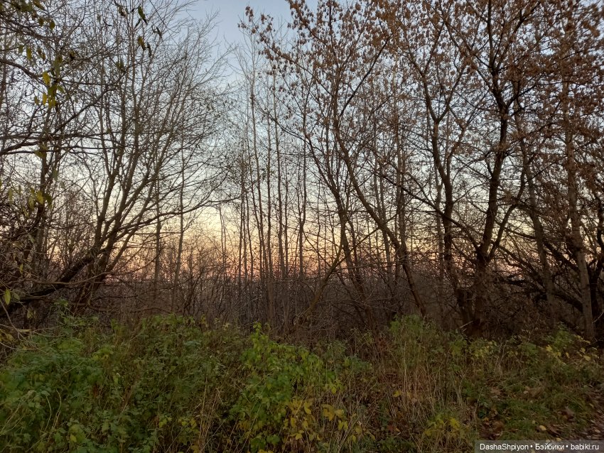 🌅 Закат в Коломенском 💖🍃 — Гибриды шарнирных кукол (не БЖД): подбор тела