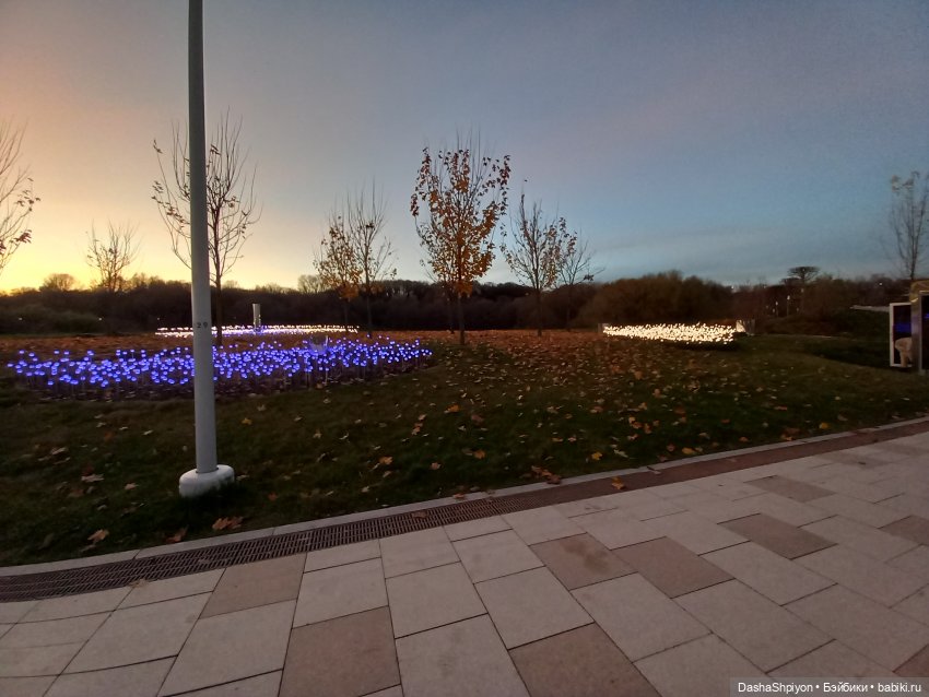 🌅 Закат в Коломенском 💖🍃 — Гибриды шарнирных кукол (не БЖД): подбор тела