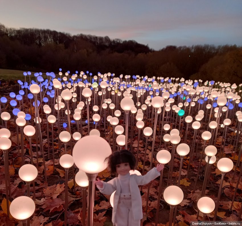 🌅 Закат в Коломенском 💖🍃 — Гибриды шарнирных кукол (не БЖД): подбор тела