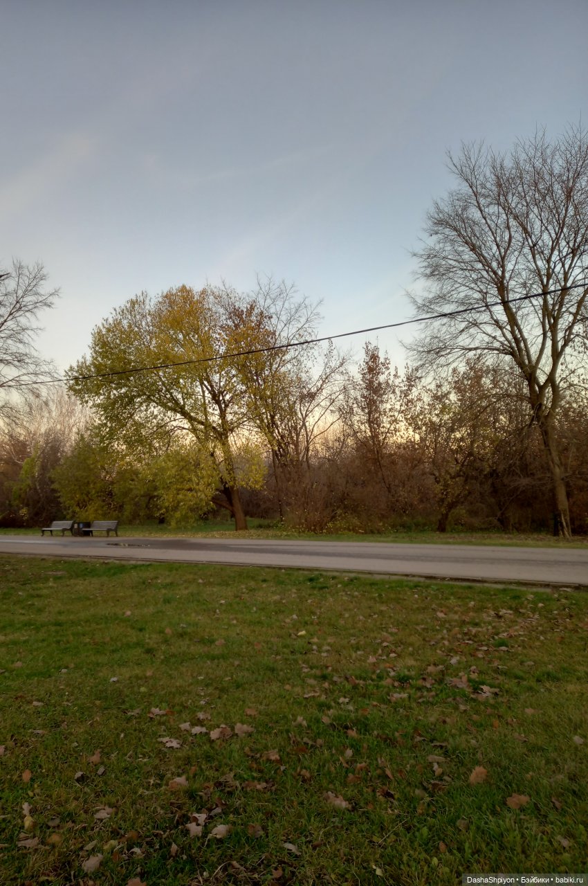 🌅 Закат в Коломенском 💖🍃 — Гибриды шарнирных кукол (не БЖД): подбор тела