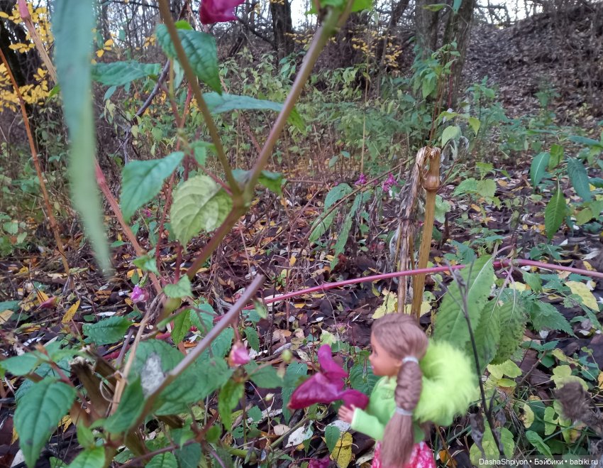 🌅 Закат в Коломенском 💖🍃 — Гибриды шарнирных кукол (не БЖД): подбор тела