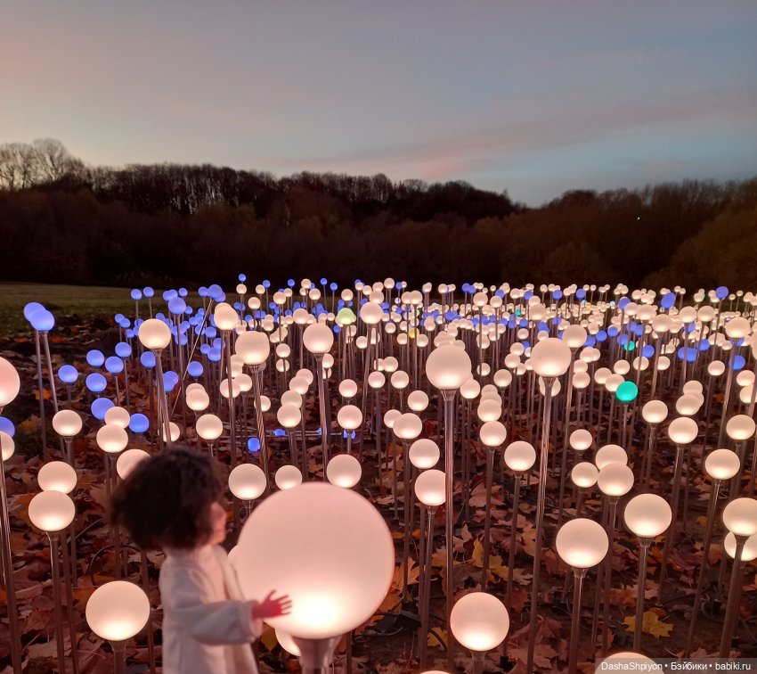 🌅 Закат в Коломенском 💖🍃 — Гибриды шарнирных кукол (не БЖД): подбор тела